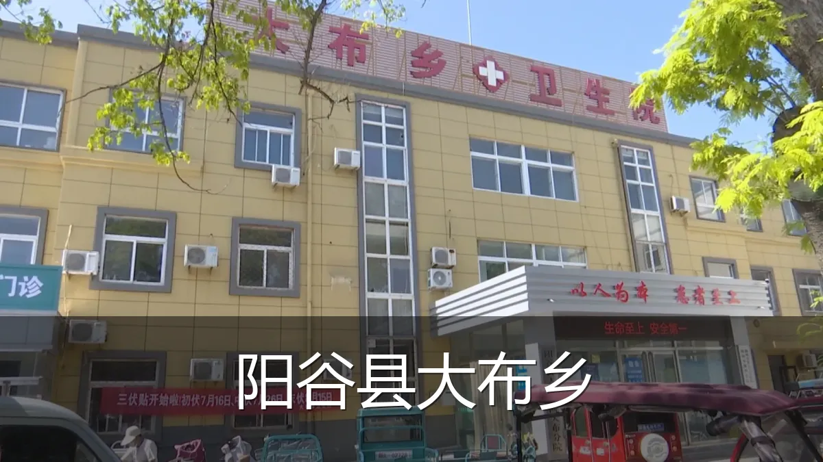 阳谷县大布乡