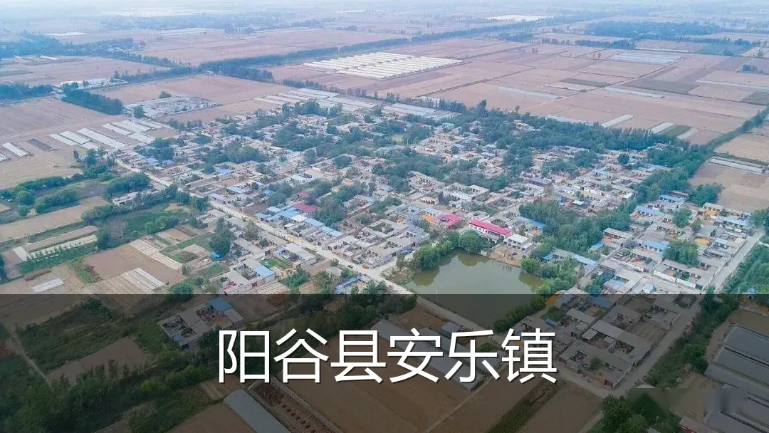 阳谷县安乐镇
