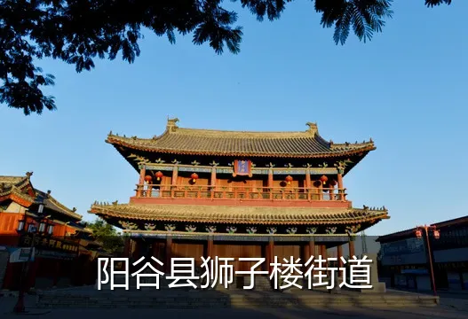 阳谷县狮子楼街道